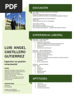 Curriculum Vitae Castillero