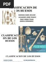 Clasificacion de Los Huesos