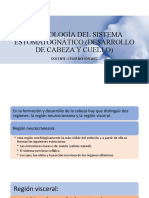 Embriología Del Sistema Estomatognático (Desarrollo de Cabeza