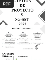 Proyección SST