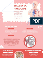 Arterias en La Cavidad Oral