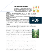 Ficha Informativa La Diversidad de Plantas Del Perú