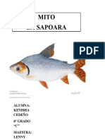 SAPOARA