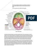 Caso Integrador Mesq