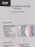 Complejo Dentino Pulpar Pulpa