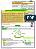 CyT-SEMANA 16 - 4° - PREUNIVERSITARIO-EDA04