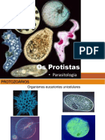 Protozoa