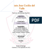 Informe Funciones Del Sistema Digestivo