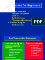 06 - Condromas