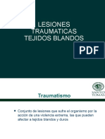 Tejidos Blandos