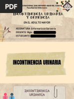 INCONTINENCIA URINARIA Y DEMENCIA Q