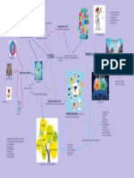 ETICA PROFESIONAL Y BIOETICA Mapa Mental