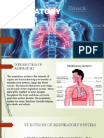 Respiratory System