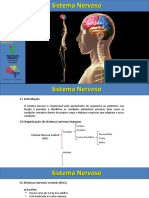 Sistema Nervoso