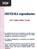 Sistema Reproductor