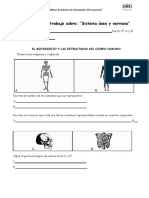 Guía de Trabajo Ciencias 5°ab