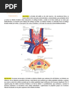 Temas Cirugia