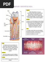 Repaso Odontologia