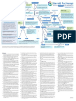 Steroid Pathways Chart Ref051021