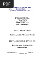 INFORME DE LA PRACTICA PROFESIONAL SUPERVISADA Carlos