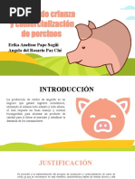 Plantilla Powerpoint de Cerdos 1