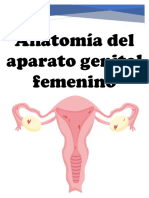 (1 Ok) Anatomía Del Aparato Genital Femenino - (Dr. Hugo Castro Toscano)