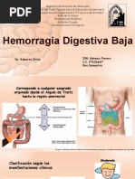 Hemorragia Digestiva Baja: Dr. Roberto Ortiz IPG: Génesis Forero C.I. 27636667 9no Semestre