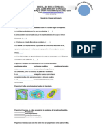 TALLER DE CIENCIAS NATURALESxx