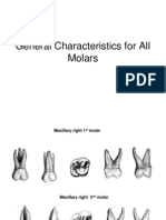 (Oral Ana) Molars Gen Characteristics