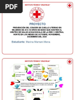 Diapositivas Proyecto Marina