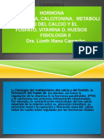 Hormona Paratiroidea, Calcitonina, Metaboli Smo Del Calcio Y El Fosfato, Vitamina D, Huesos Fisiología Ii Dra. Lizeth Manu Camacho