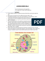 Looking Inside Cells - Gr7