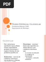 Tejido Epitelial Glandular