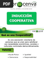 Induccion Cooperativa 2011