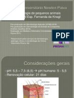 Dermatologia Clínica de Cães e Gatos