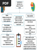 Mapa Conceptual Aduana