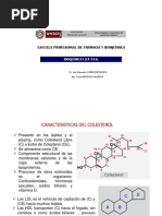 Clase 5. Sintesis Colesterol