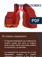 Sistema Respiratorio