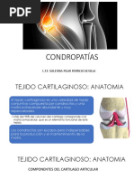 Condropatías Fisioterapia