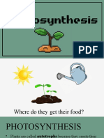 PHOTOSYNTHESIS Light-Dependent Reaction