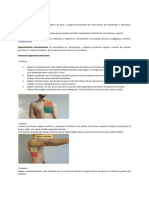 Neumo Primer Parcial