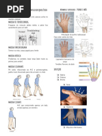 Membros Superiores-Exame Físico Do Sistema Musculoesquelético