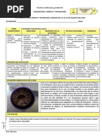 5° SEC. EDA 2 SEMANA 5 Diseña CYT 2023 Prototipo Velocímetro Casero