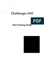 Challenger 650 Pilot Training Guide (Entertainment)