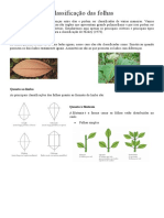 Classificação Das Folhas