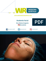 ME 3.1 Anatomia Facial