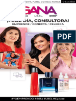 Revista Consultora 2022 C11 GT