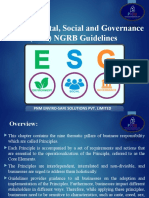 ESG-NGBRC Principles