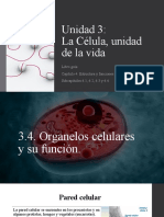 Unidad 3 - Subcapítulos - 4-5