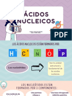 Ácidos Nucleicos